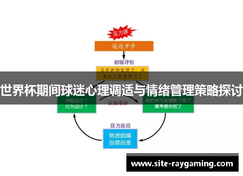 世界杯期间球迷心理调适与情绪管理策略探讨