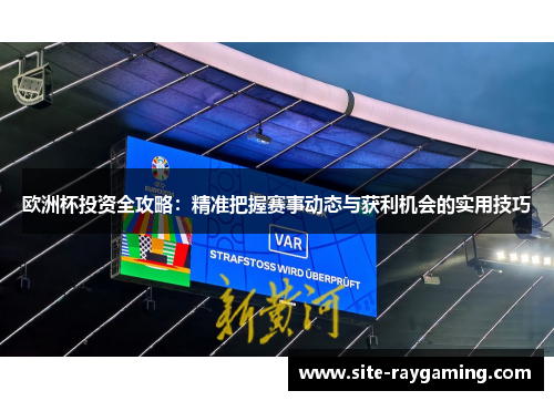 欧洲杯投资全攻略：精准把握赛事动态与获利机会的实用技巧