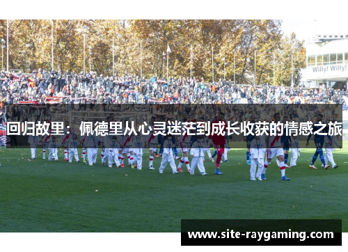 回归故里：佩德里从心灵迷茫到成长收获的情感之旅