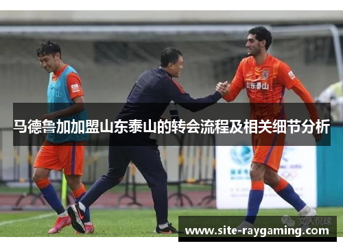马德鲁加加盟山东泰山的转会流程及相关细节分析