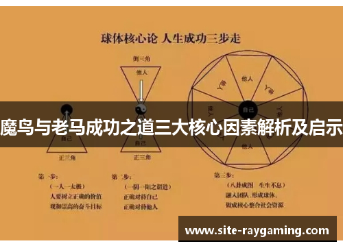 魔鸟与老马成功之道三大核心因素解析及启示